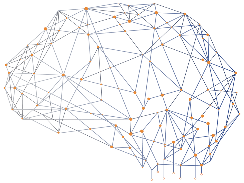 A governed organizational brain: a network of cognates under human control